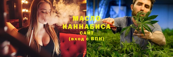 гидра Зеленодольск