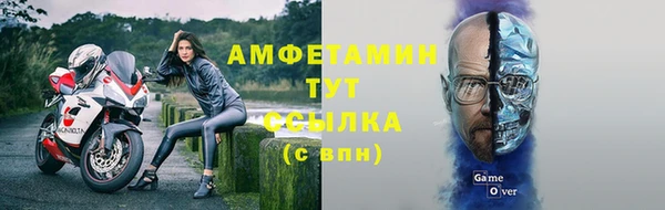индика Зерноград