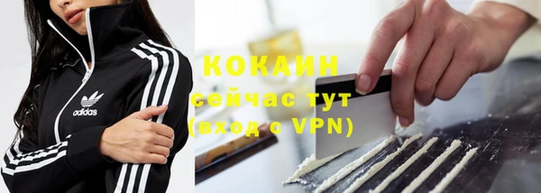 индика Зерноград