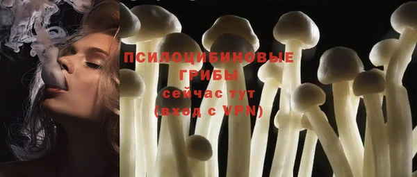 индика Зерноград