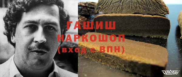 гидра Зеленодольск