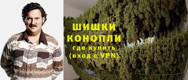 индика Зерноград