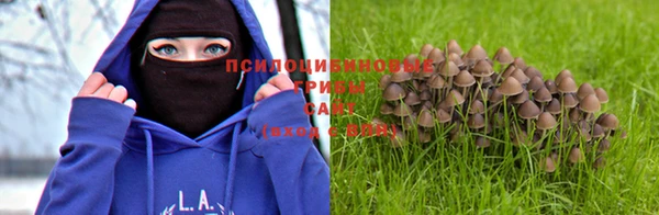 гидра Зеленодольск